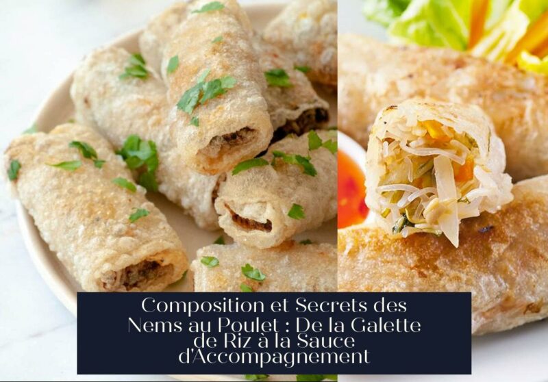 Composition et Secrets des Nems au Poulet : De la Galette de Riz à la Sauce d'Accompagnement