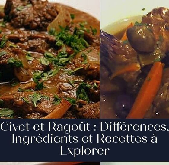 Civet et Ragoût : Différences, Ingrédients et Recettes à Explorer