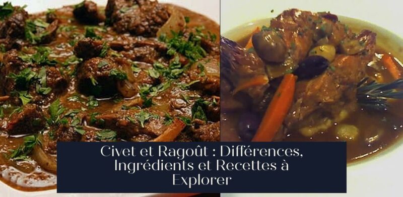 Civet et Ragoût : Différences, Ingrédients et Recettes à Explorer