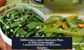 Différences entre Haricots Plats et Pois Gourmands : Caractéristiques et Recettes Simples