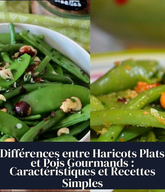 Différences entre Haricots Plats et Pois Gourmands : Caractéristiques et Recettes Simples