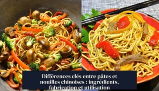 Différences clés entre pâtes et nouilles chinoises : ingrédients, fabrication et utilisation