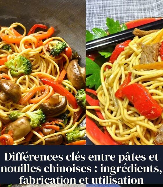 Différences clés entre pâtes et nouilles chinoises : ingrédients, fabrication et utilisation