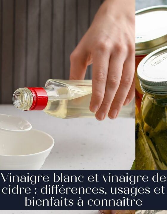 Vinaigre blanc et vinaigre de cidre : différences, usages et bienfaits à connaître