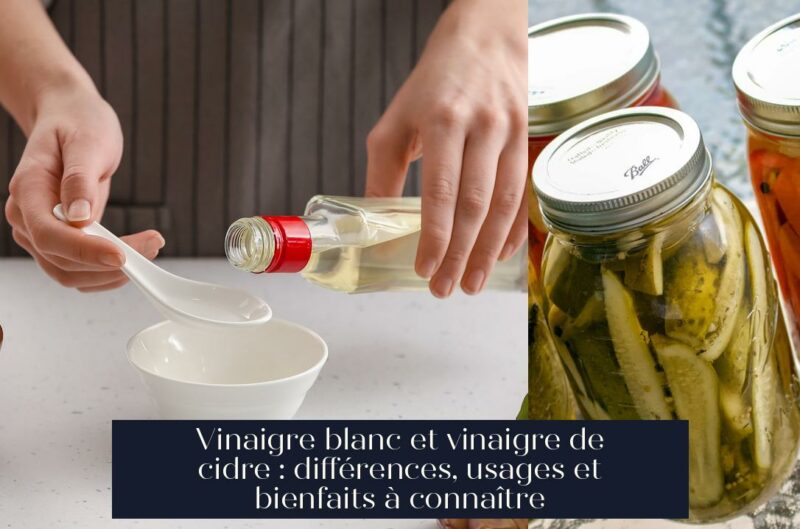 Vinaigre blanc et vinaigre de cidre : différences, usages et bienfaits à connaître