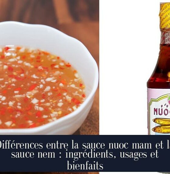 Différences entre la sauce nuoc mam et la sauce nem : ingrédients, usages et bienfaits
