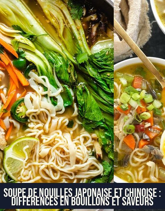 Soupe de Nouilles Japonaise et Chinoise : Différences en Bouillons et Saveurs