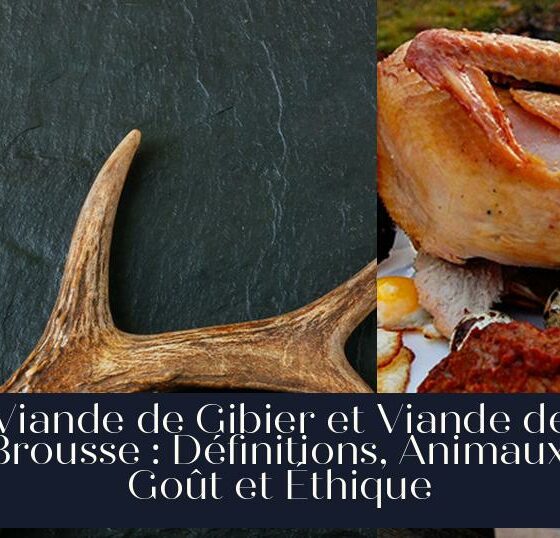 Viande de Gibier et Viande de Brousse : Définitions, Animaux, Goût et Éthique