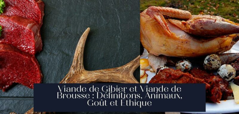 Viande de Gibier et Viande de Brousse : Définitions, Animaux, Goût et Éthique