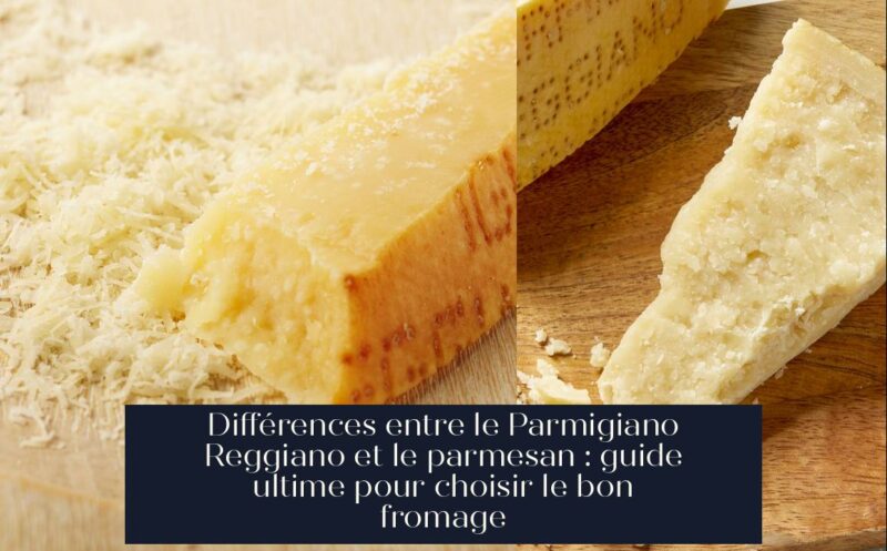 Différences entre le Parmigiano Reggiano et le parmesan : guide ultime pour choisir le bon fromage