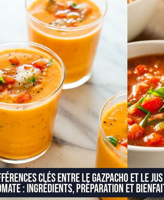 Différences clés entre le gazpacho et le jus de tomate : ingrédients, préparation et bienfaits
