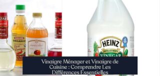 Vinaigre Ménager et Vinaigre de Cuisine : Comprendre Les Différences Essentielles