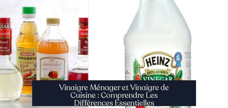 Vinaigre Ménager et Vinaigre de Cuisine : Comprendre Les Différences Essentielles