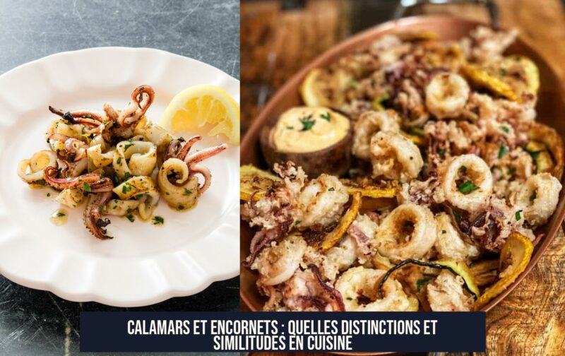 Calamars et Encornets : Quelles Distinctions et Similitudes en Cuisine