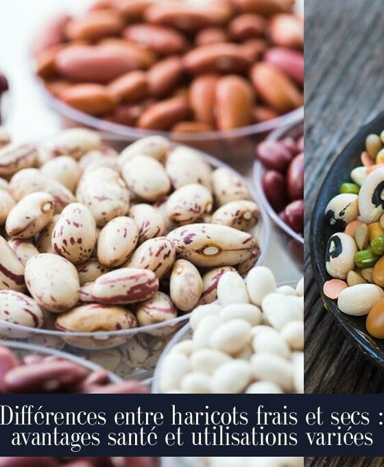 Différences entre haricots frais et secs : avantages santé et utilisations variées