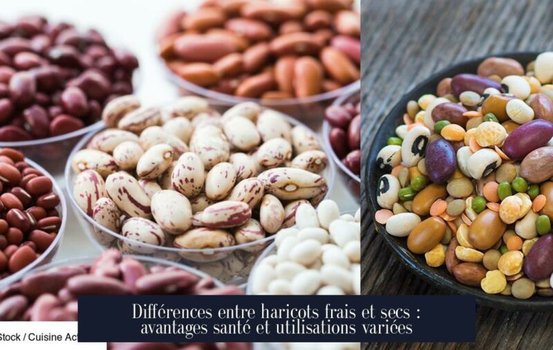 Différences entre haricots frais et secs : avantages santé et utilisations variées