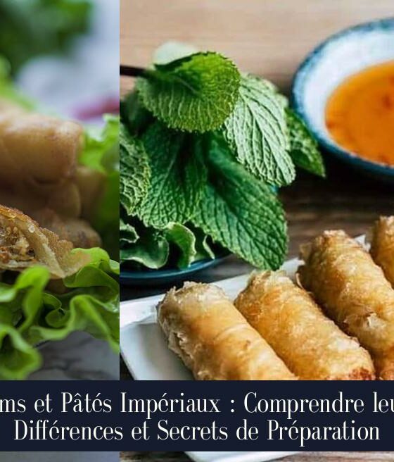 Nems et Pâtés Impériaux : Comprendre leurs Différences et Secrets de Préparation