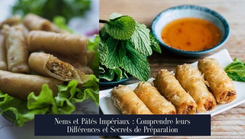Nems et Pâtés Impériaux : Comprendre leurs Différences et Secrets de Préparation