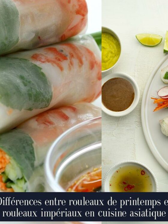 Différences entre rouleaux de printemps et rouleaux impériaux en cuisine asiatique