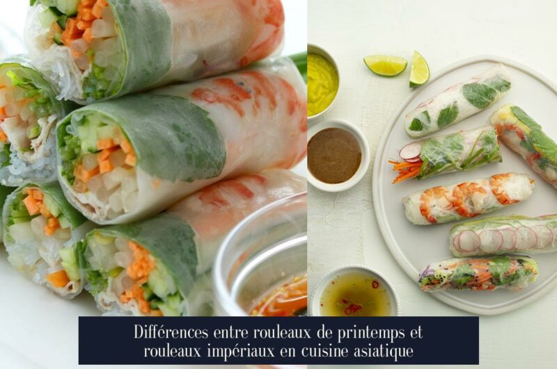 Différences entre rouleaux de printemps et rouleaux impériaux en cuisine asiatique