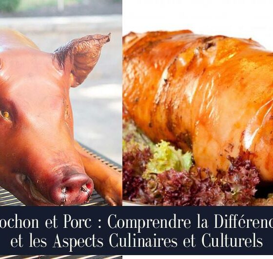 Cochon et Porc : Comprendre la Différence et les Aspects Culinaires et Culturels