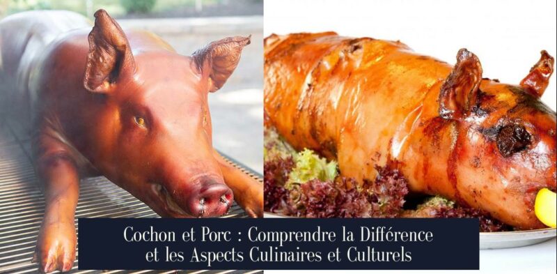 Cochon et Porc : Comprendre la Différence et les Aspects Culinaires et Culturels