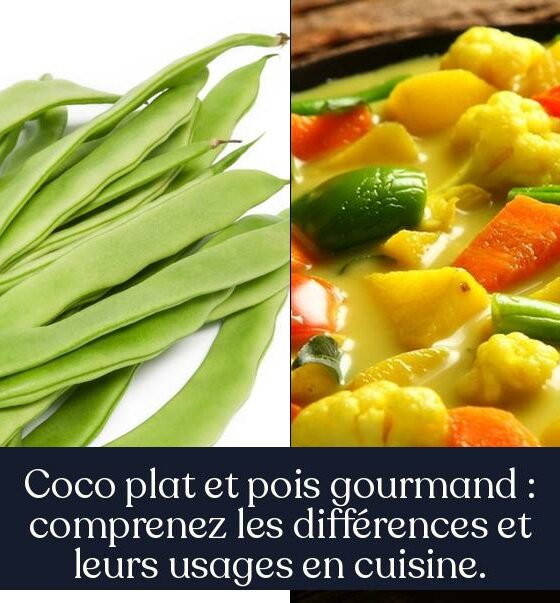 Coco plat et pois gourmand : comprenez les différences et leurs usages en cuisine.