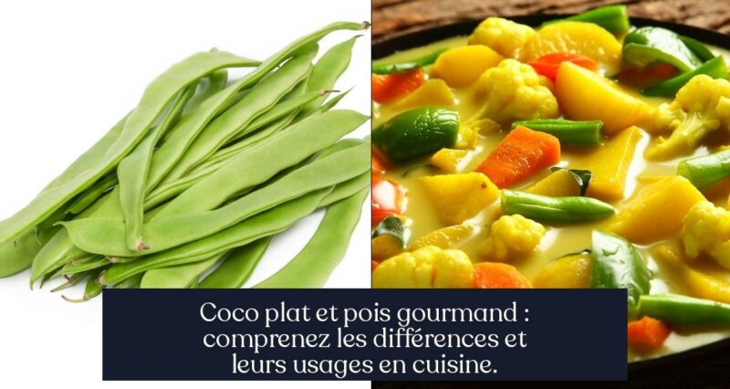 Coco plat et pois gourmand : comprenez les différences et leurs usages en cuisine.
