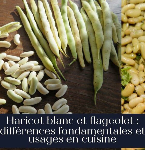 Haricot blanc et flageolet : différences fondamentales et usages en cuisine