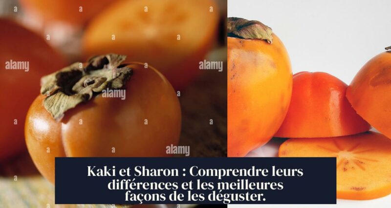 Kaki et Sharon : Comprendre leurs différences et les meilleures façons de les déguster.