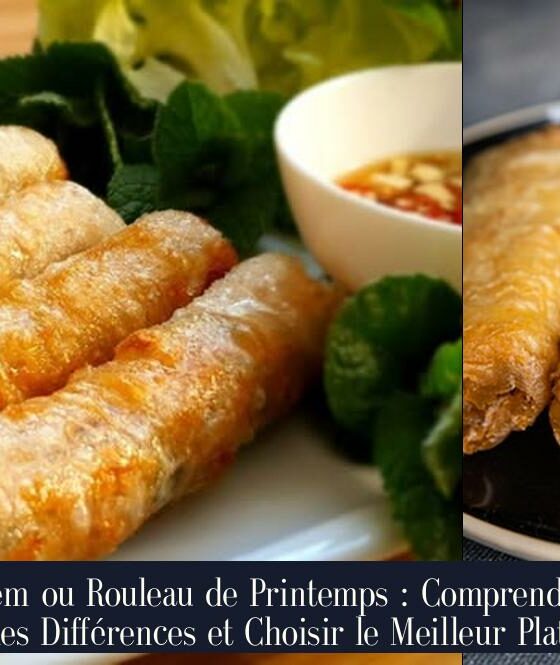 Nem ou Rouleau de Printemps : Comprendre les Différences et Choisir le Meilleur Plat