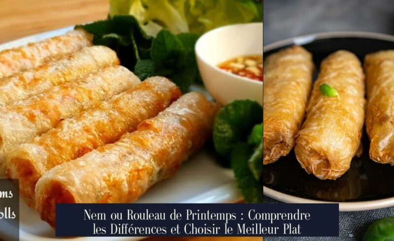 Nem ou Rouleau de Printemps : Comprendre les Différences et Choisir le Meilleur Plat