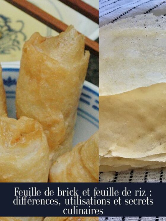 Feuille de brick et feuille de riz : différences, utilisations et secrets culinaires