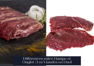 Différences entre Hampe et Onglet : Les Viandes en Duel