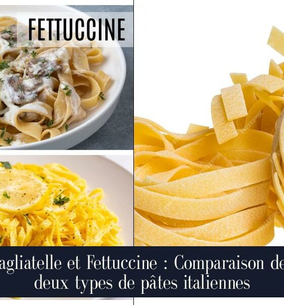 Tagliatelle et Fettuccine : Comparaison des deux types de pâtes italiennes