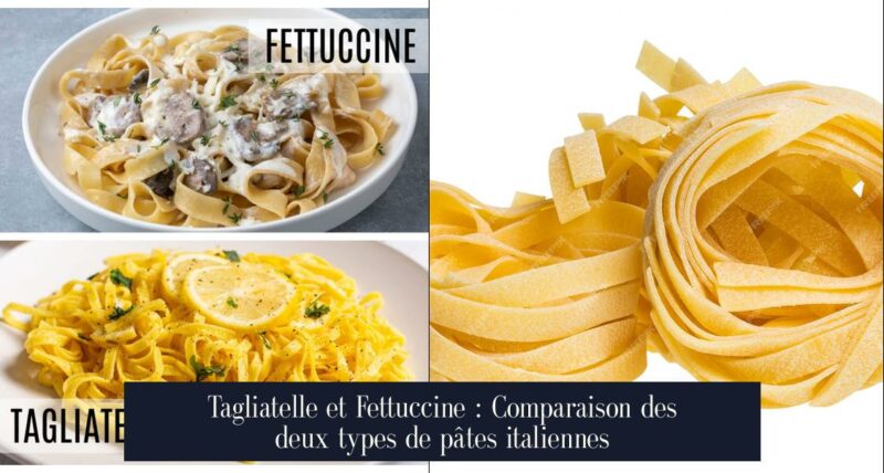 Tagliatelle et Fettuccine : Comparaison des deux types de pâtes italiennes