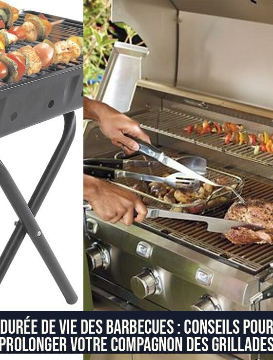 Durée de vie des barbecues : conseils pour prolonger votre compagnon des grillades