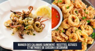 Manger des calamars sainement : recettes, astuces et méthodes de cuisson à découvrir
