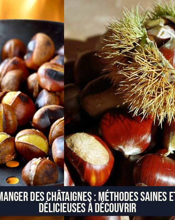 Manger des châtaignes : méthodes saines et délicieuses à découvrir