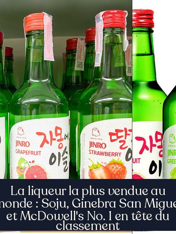 La liqueur la plus vendue au monde : Soju, Ginebra San Miguel et McDowell's No. 1 en tête du classement