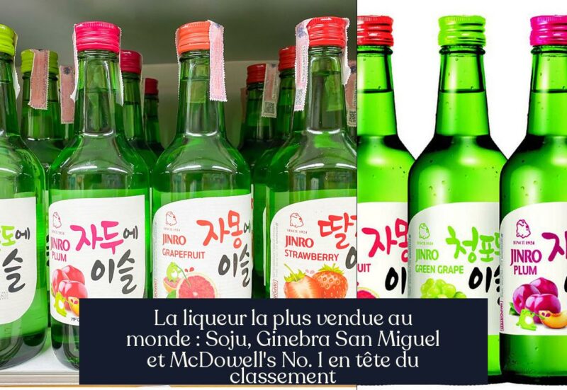 La liqueur la plus vendue au monde : Soju, Ginebra San Miguel et McDowell's No. 1 en tête du classement
