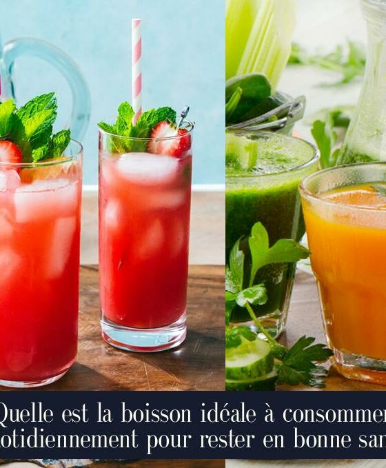Quelle est la boisson idéale à consommer quotidiennement pour rester en bonne santé