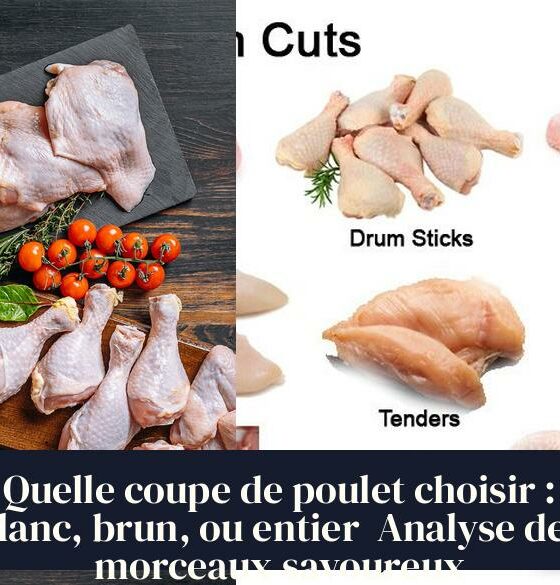 Quelle coupe de poulet choisir : blanc, brun, ou entier Analyse des morceaux savoureux