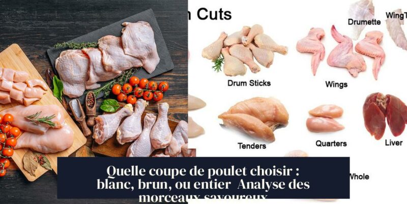 Quelle coupe de poulet choisir : blanc, brun, ou entier Analyse des morceaux savoureux