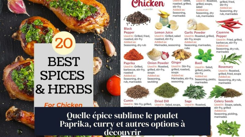 Quelle épice sublime le poulet Paprika, curry et autres options à découvrir