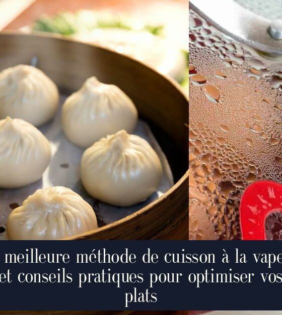 La meilleure méthode de cuisson à la vapeur et conseils pratiques pour optimiser vos plats