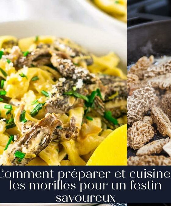 Comment préparer et cuisiner les morilles pour un festin savoureux