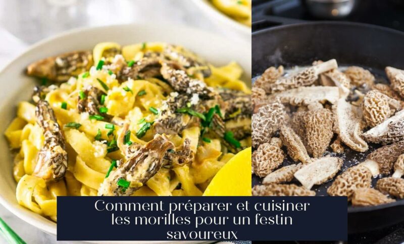 Comment préparer et cuisiner les morilles pour un festin savoureux