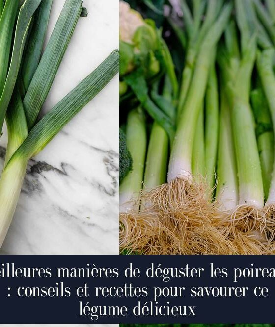 Meilleures manières de déguster les poireaux : conseils et recettes pour savourer ce légume délicieux