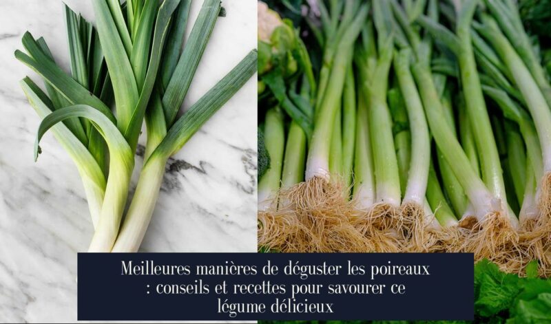 Meilleures manières de déguster les poireaux : conseils et recettes pour savourer ce légume délicieux